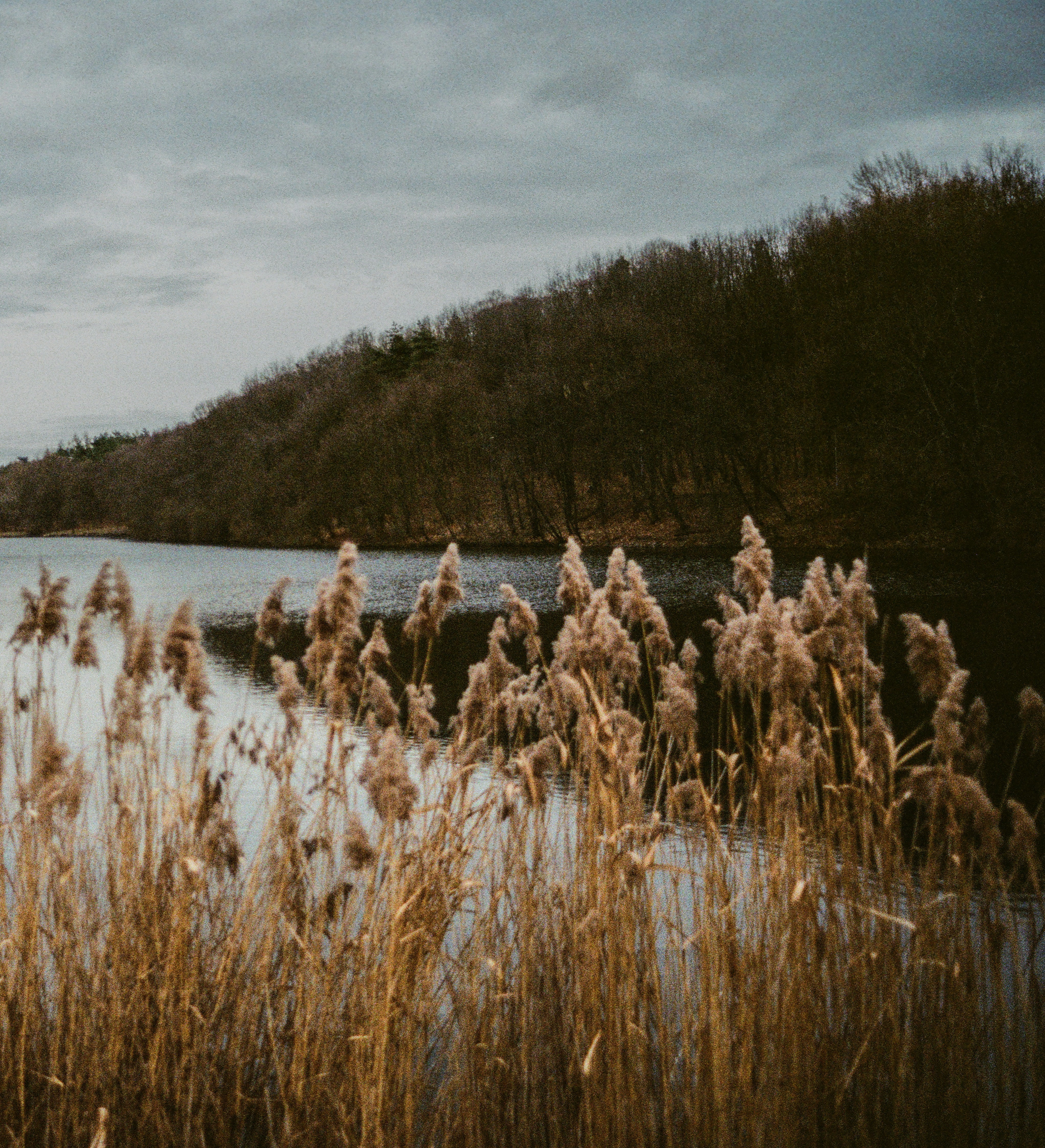 dmitry-vegelin-GUytP_Q3rs0-unsplash