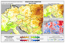 Dopady na vegetaci - Evropa - 24. květen 2020