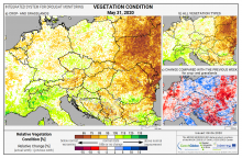 Dopady na vegetaci - Evropa - 31. květen 2020