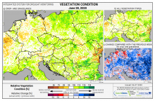 Dopady na vegetaci - Evropa - 28. červen 2020