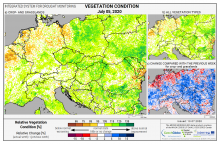 Dopady na vegetaci - Evropa - 5. červenec 2020