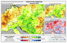Dopady na vegetaci - Evropa - 30. srpen 2020