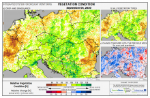 Dopady na vegetaci - Evropa - 6. září 2020