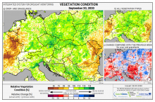 Dopady na vegetaci - Evropa - 20. září 2020