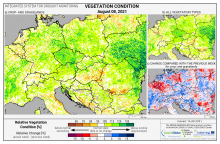 Dopady na vegetaci - Evropa - 8. srpen 2021