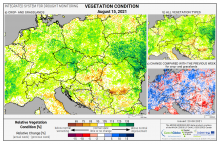 Dopady na vegetaci - Evropa - 15. srpen 2021