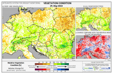 Dopady na vegetaci - Evropa - 29. květen 2022